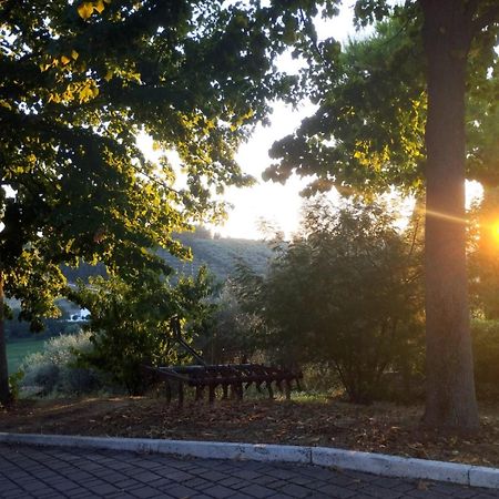 Il Mandorlo B&B Civitanova Alta Luaran gambar